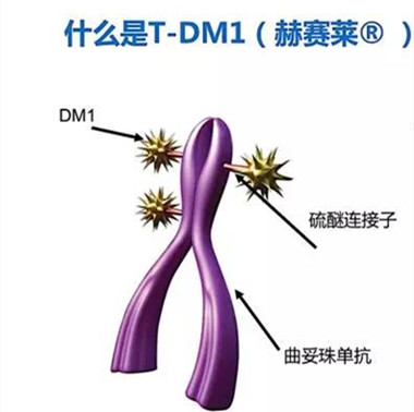 新药简报丨her-2阳性乳腺癌新药获批