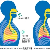 放疗中如何保护心肺？深入了解深吸气屏气（DIBH）技术及其训练